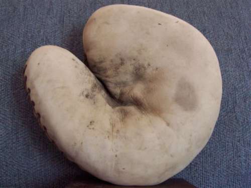 A.J. Reach White Catchers Mitt Front